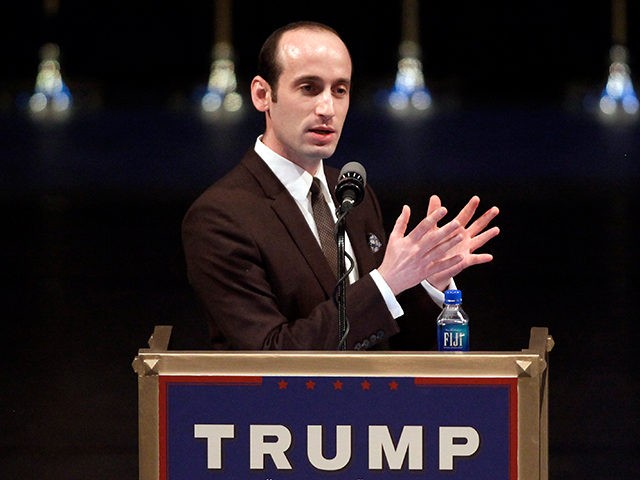 stephen_miller