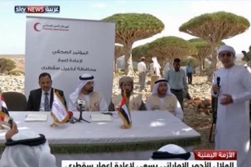 L'île yéménite de Socotra