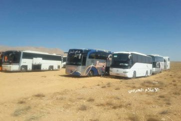 qalamoune_bus