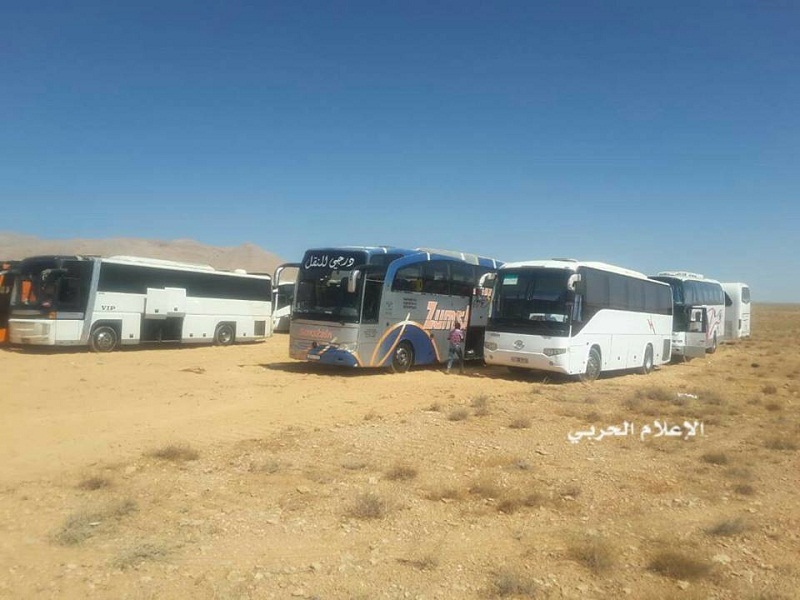 qalamoune_bus