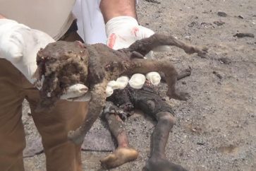 Massacre saoudien à Hodeida