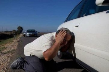 babf7b8e-e20c-4e87-a6e5-8d15f84d6c77