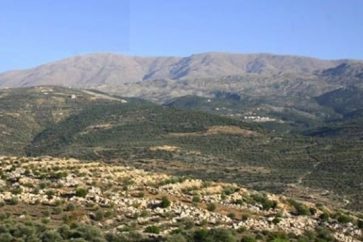 c679dbf3-501f-4e0f-a75f-1ce889b15e6e