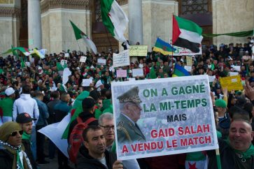 manif_algerie