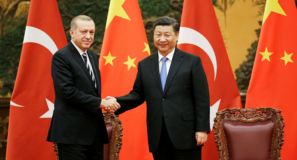 erdogan-xi