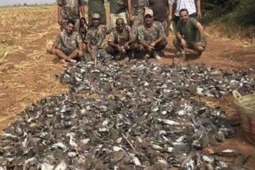 67963941_139396847266863_1192442522354319360_n