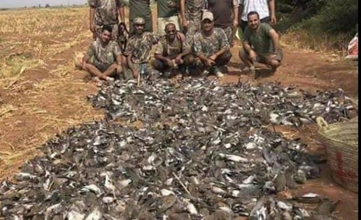 67963941_139396847266863_1192442522354319360_n