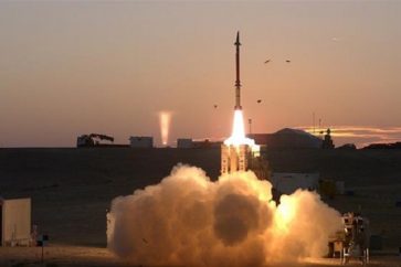 Fronde de David (illustration)