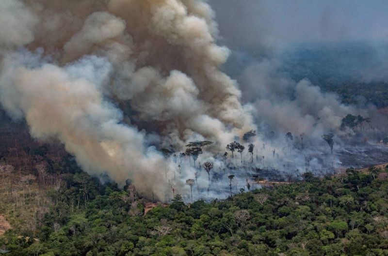 incendie_amazonie