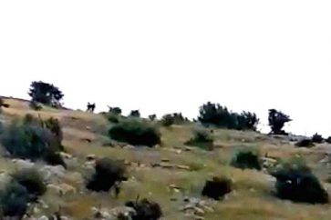 kfar_chouba_chebaa-jpg1