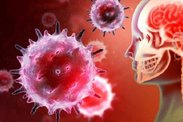 Le coronavirus responsable du Covid-19 ne pouvait résister à des températures élevées