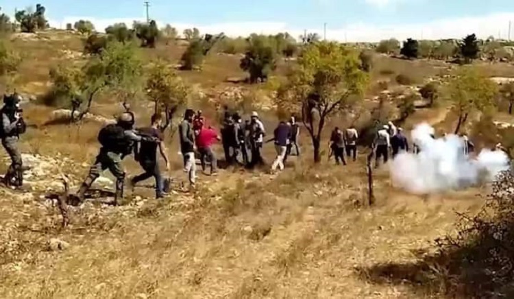 affrontements_cisjordanie