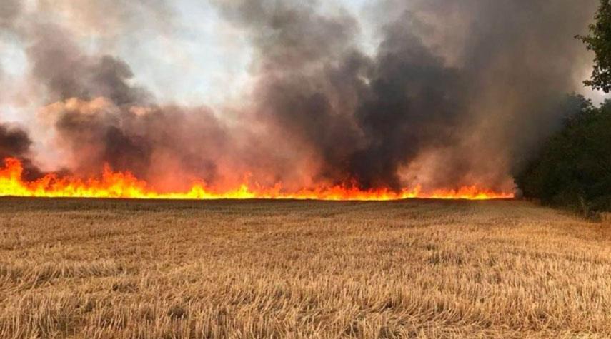 "Qu'ils s'en aillent. Nous restons"