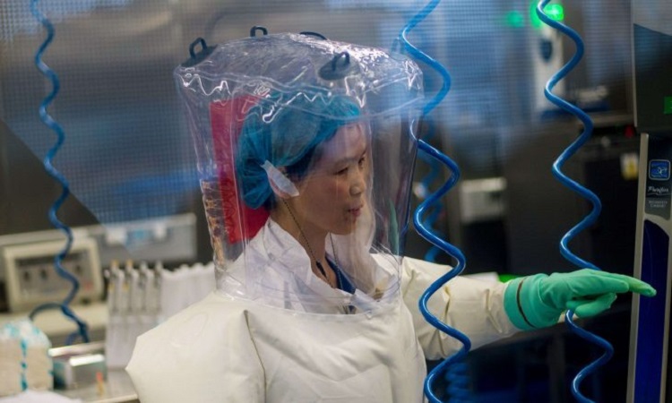 Shi Zhengli a rejeté les accusations de manipulations génétiques dangereuses, notamment relayées aux Etats-Unis par certains élus républicains.