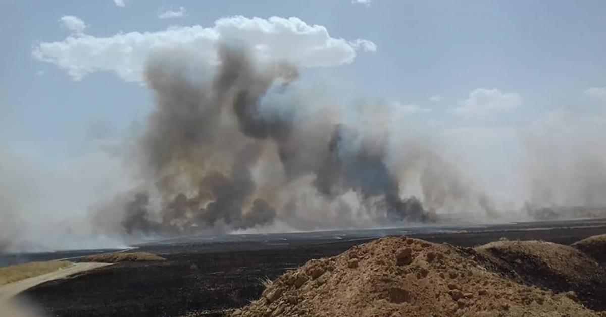 champs_ble_incendies