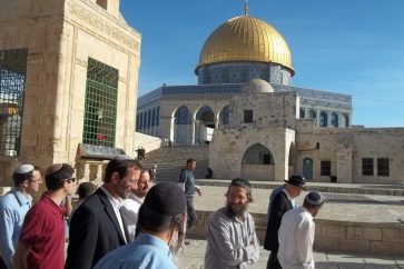 Les colons prennent d'assaut l'enceinte de la mosquée par groupes de dizaines de personnes, sous protection de la police d’occupation israélienne.