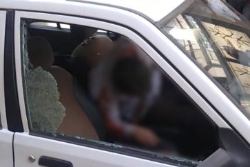 0387c4a6-e5cc-435a-a0d4-380444b9cbd3