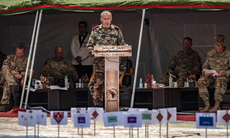 Des observateurs militaires en provenance de l'Otan et une quinzaine de "pays partenaires", dont ‘Israël’ participent aux exercices African Lion 2022.