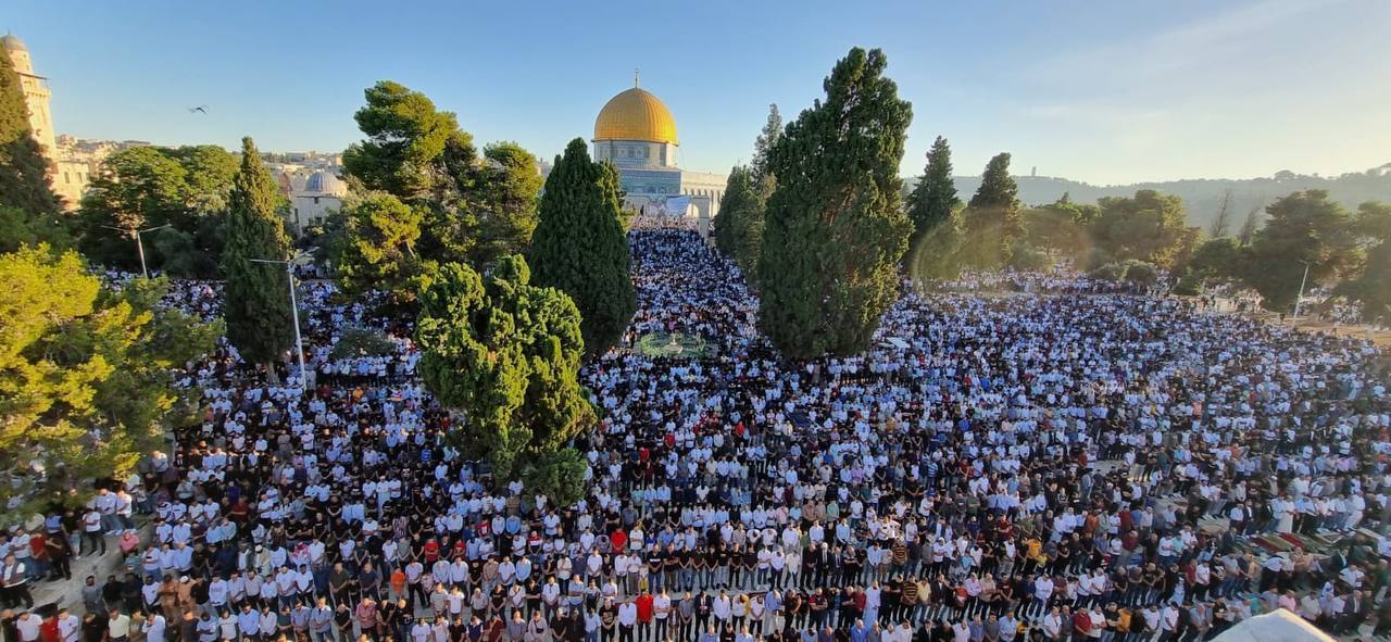 aqsa_adha-jpg1