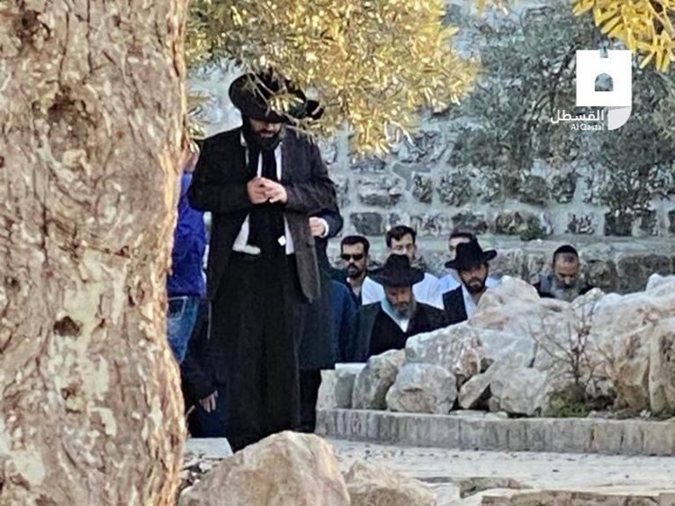 3b0f87d2-d62d-4f04-bd4d-d1d834f342f5