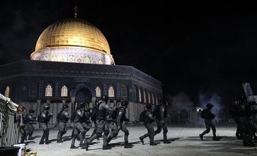 f3dbd1b3-28a7-4454-b48a-25951d7f1454