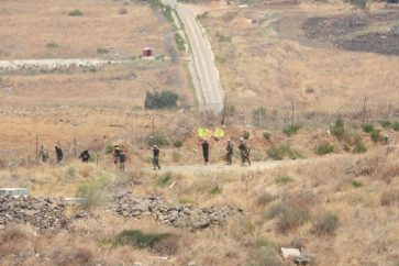 d215349f-8075-41d0-95f8-5c8edbeb7fb7