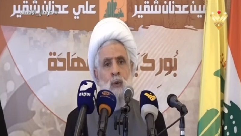 manar-06939060016979054755