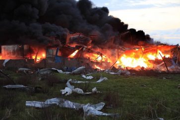 manar-02484580017083707285