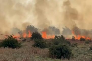 4eb99b51-4808-4d8b-9672-47506a8ad221