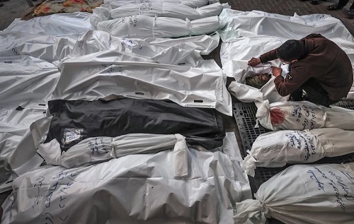 ac48283f-b6c5-41ae-8ce0-bcc3f0d2806b