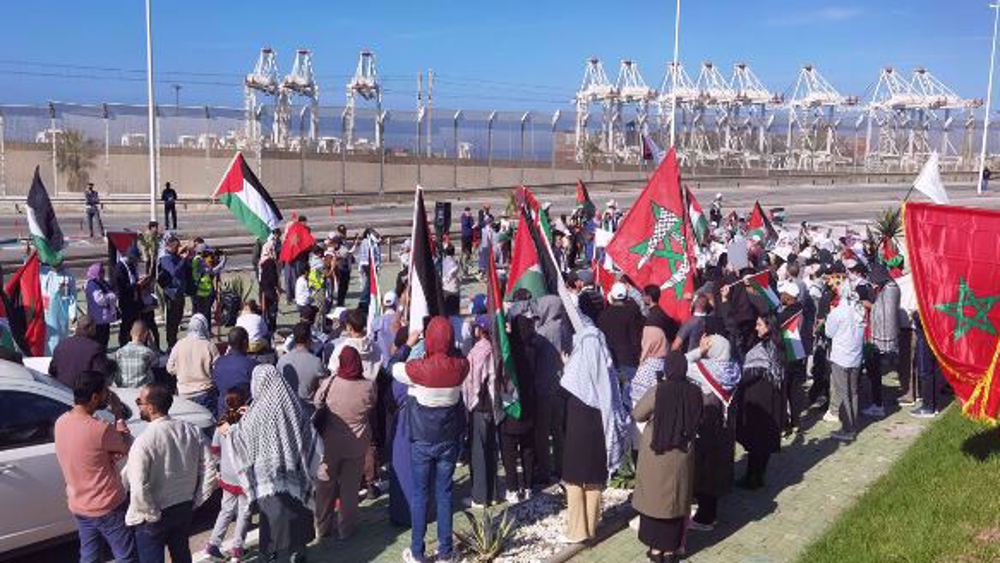 Des manifestants se sont rassemblés devant le port de Tanger Med, le 10 novembre 2024, pour protester contre l’accostage d’un navire américain en direction d’Israël, soupçonné de transporter des munitions de guerre. (Photo d’archives de h24info.ma)