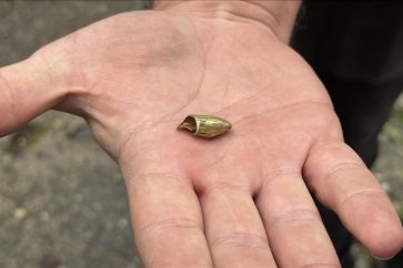 Une balle dans la boîte aux lettres du Centre culturel Montréal-la-Cluse.